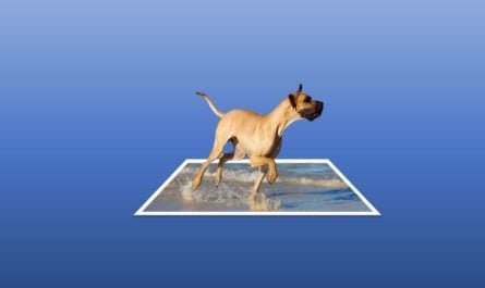 3D Pop-Out Photo Effect in PowerPoint