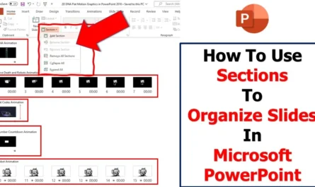 How To Use Sections in Microsoft PowerPoint Tutorial | Slide Management