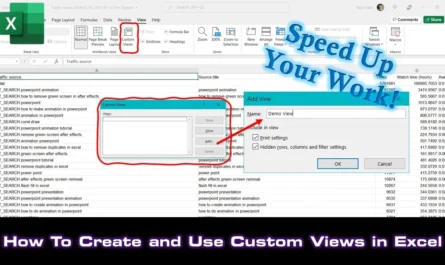 Custom Views in Microsoft Excel